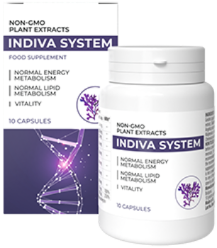 InDiva System