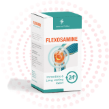 Flexosamine pomada para el tratamiento del dolor articular – precio, en farmacias, opiniones, comprar