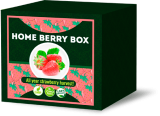Home Berry Box minigranja  para el cultivo de fresas – precio, en farmacias, opiniones, comprar
