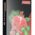 Clean Forte gotas contra parásitos – precio, en farmacias, opiniones, comprar