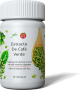 Cafe Verde